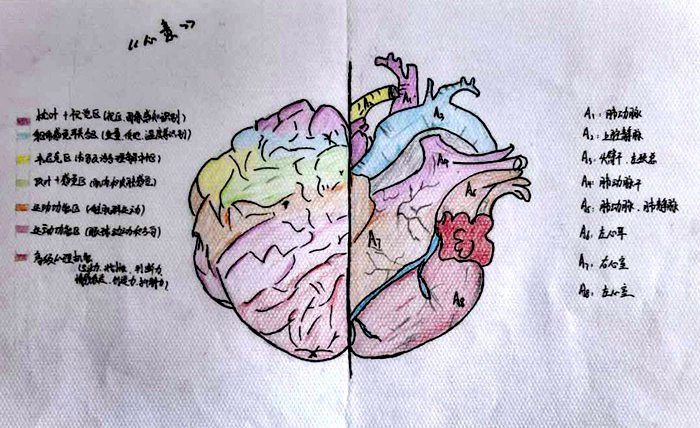 04a26669e7030665a2c3acf3cda7031 - 副本.jpg